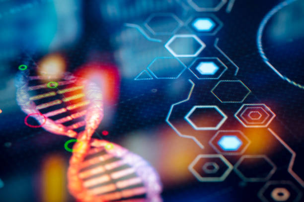 coronavirus us deaths - coronavirus en china bbc